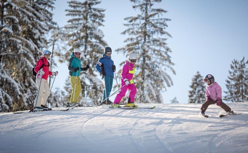 Chata Venda Lipno nad Vltavou Exterior foto